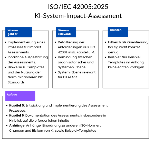Überblick ISO 42005